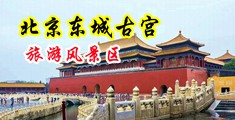 我的大骚逼想被使劲儿日高潮中国北京-东城古宫旅游风景区