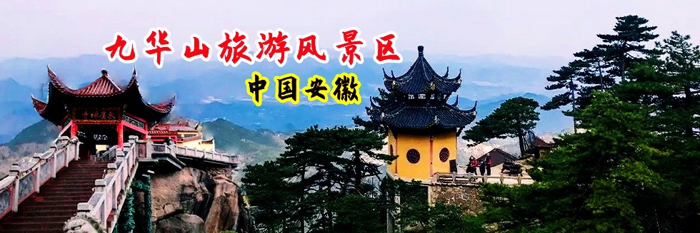 美女嫩逼被操得直流水